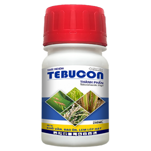 TEBUCON