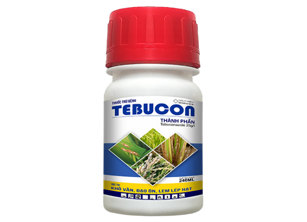 TEBUCON
