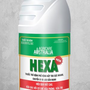 HEXA
