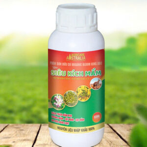 SIÊU GEL LÂN