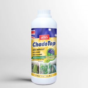 SIÊU CHẶN ĐỌT