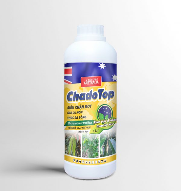 SIÊU CHẶN ĐỌT
